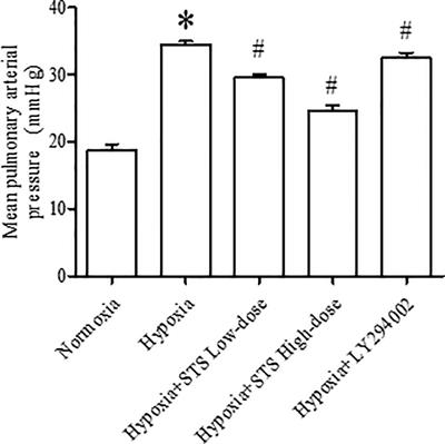 Sodium Tanshinone II Sulfonate A Ameliorates Hypoxia-Induced Pulmonary Hypertension